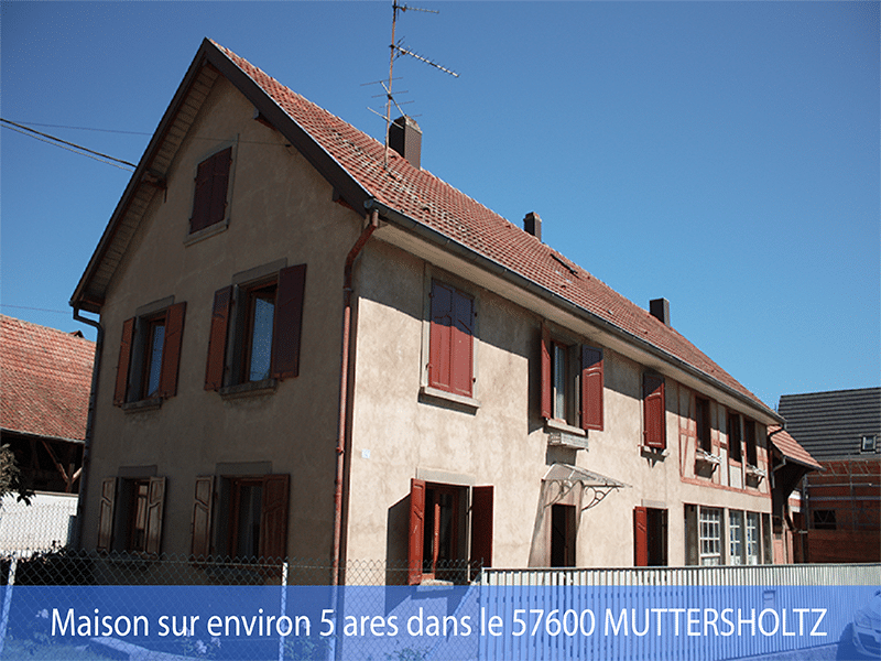 Maison sur environ 5 ares vendue dans le 67600 Muttersholtz