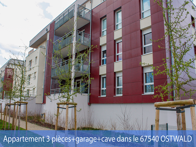 Appartement 3 pièces + garage + GARAGE+ cave dans le 67540 OSTWALD